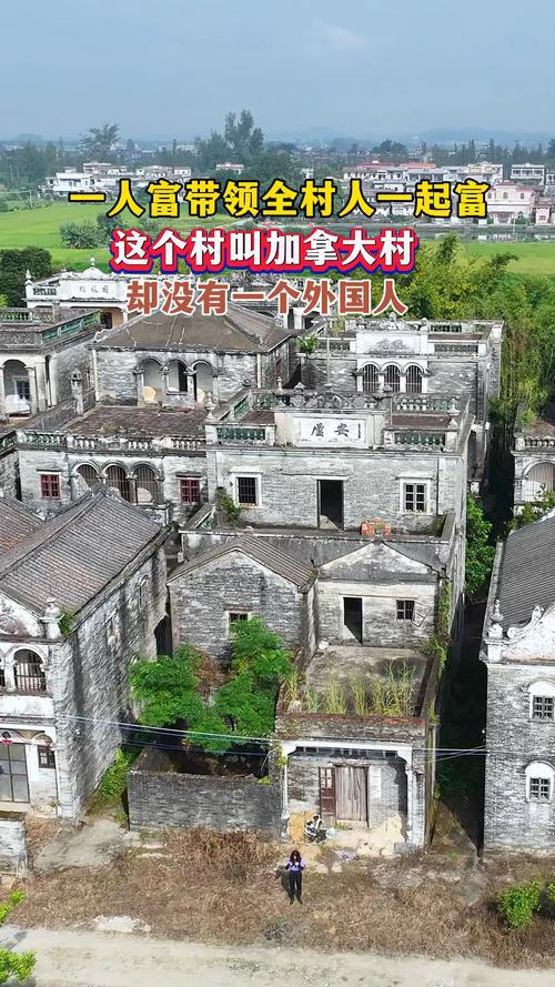 回来广东一无人村村民斥巨资盖别墅开元棋牌全村移民加拿大70多年没