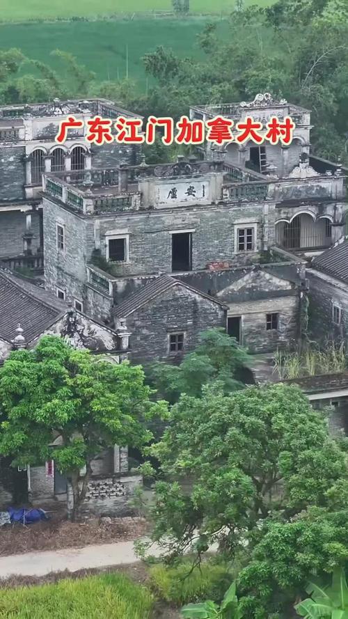 回来广东一无人村村民斥巨资盖别墅开元棋牌全村移民加拿大70多年没(图2)
