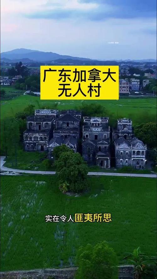 回来广东一无人村村民斥巨资盖别墅开元棋牌全村移民加拿大70多年没(图4)