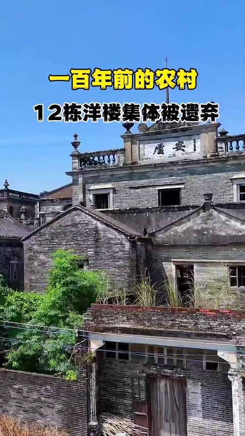 回来广东一无人村村民斥巨资盖别墅开元棋牌全村移民加拿大70多年没(图5)