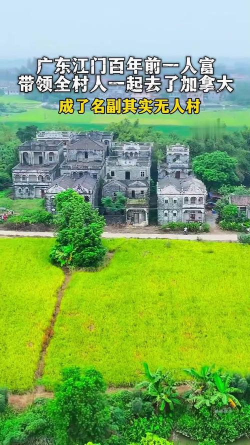 回来广东一无人村村民斥巨资盖别墅开元棋牌全村移民加拿大70多年没(图8)